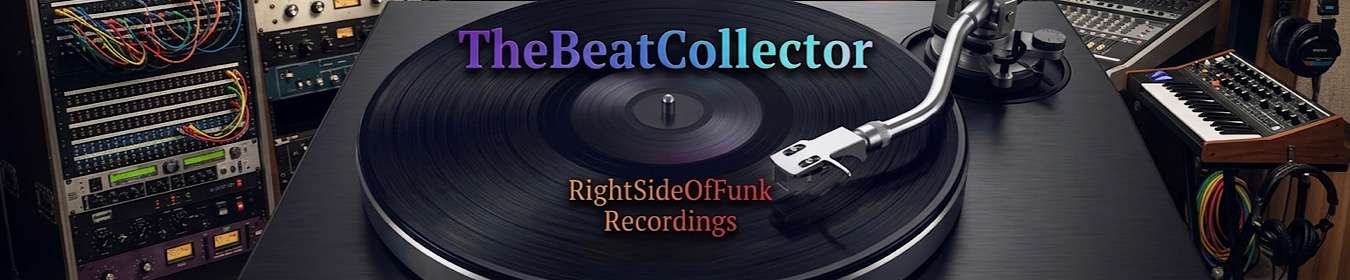 TheBeatCollector's banner